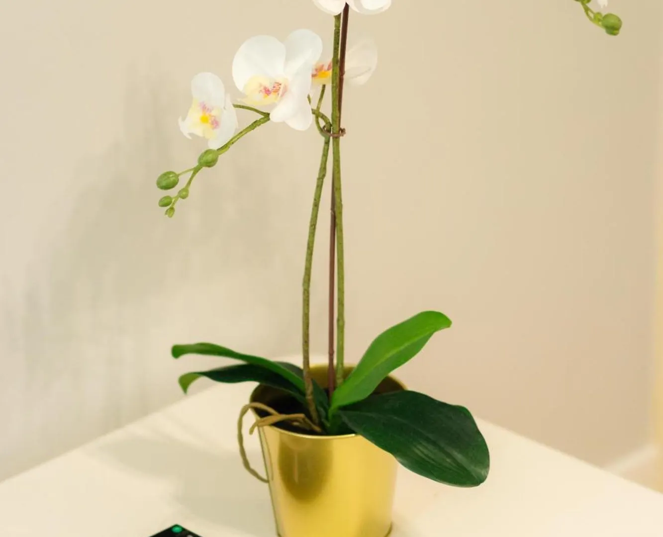Beautiful Yellow Near Marais And Bastille Apartment *